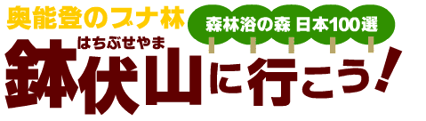 奥能登のブナ林「鉢伏山に行こう！」森林浴の森・日本100選