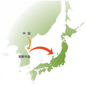 中国から朝鮮半島を経て、小豆が日本へ伝来